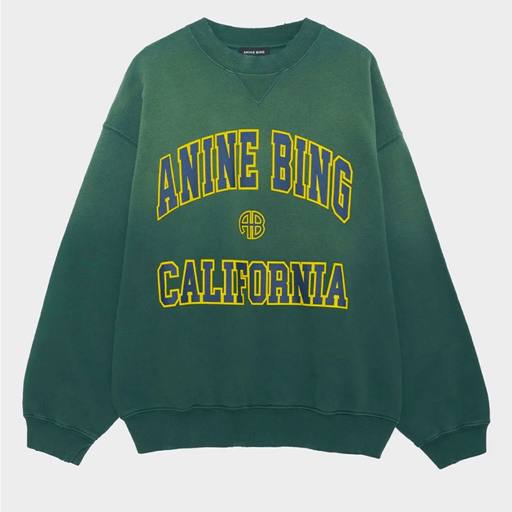 Anine Bing jaci oversized sweatshirt